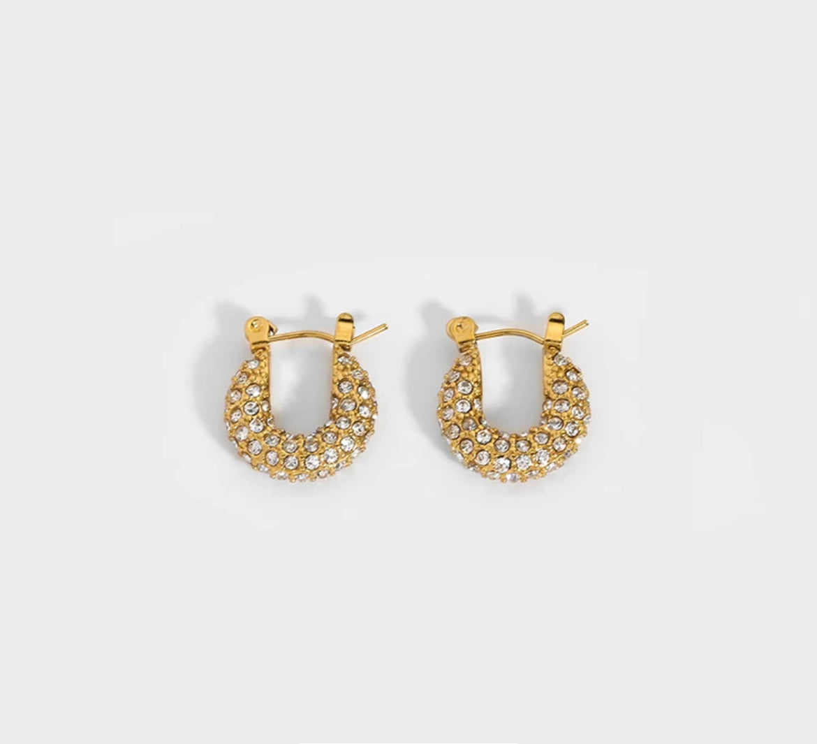 Crystal Hoops